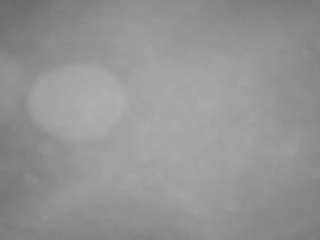 voyeurcam casa salsa pool 1